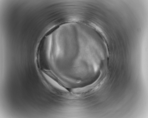 X0000088691042200706211923