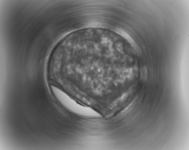 X0000088691043200706211923