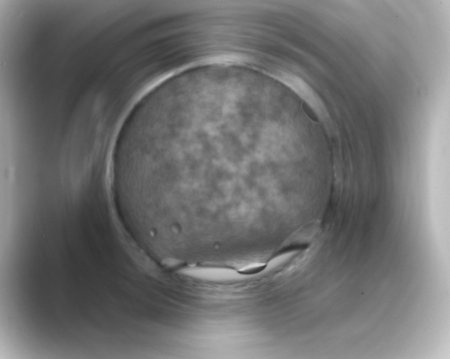 X0000088691044200706211923