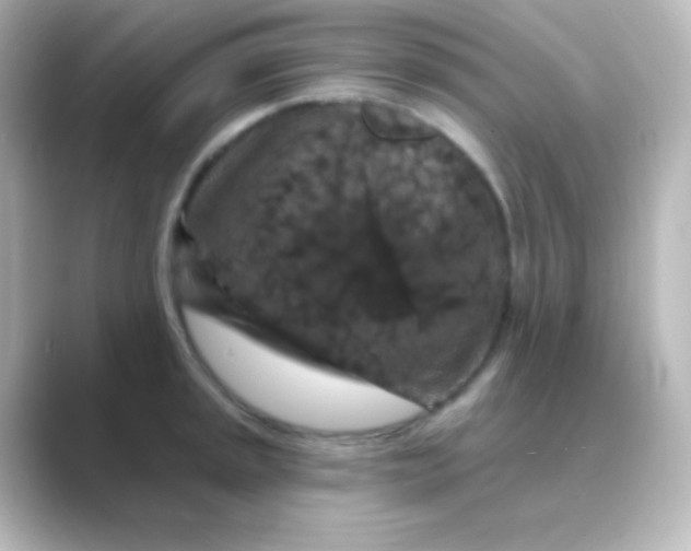 X0000088691045200706211923