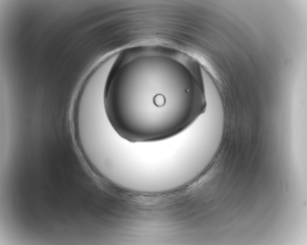 X0000088691046200706211923