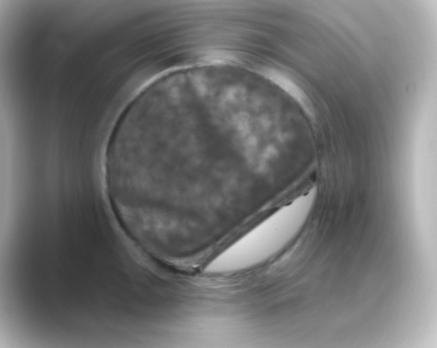 X0000088691047200706211923