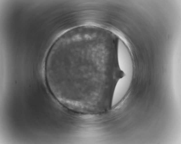 X0000088691048200706211923