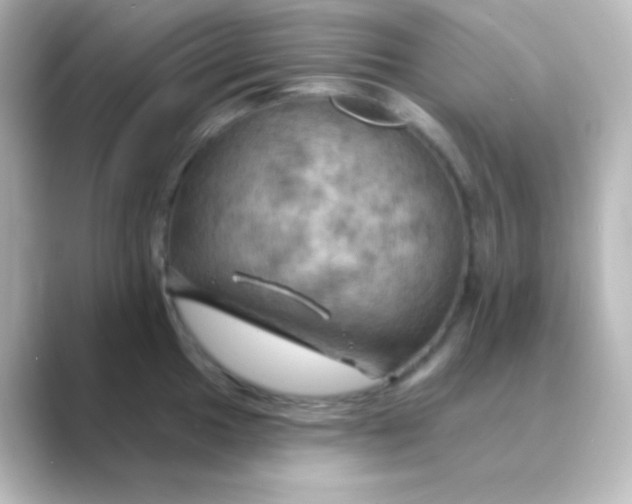 X0000088691049200706211923