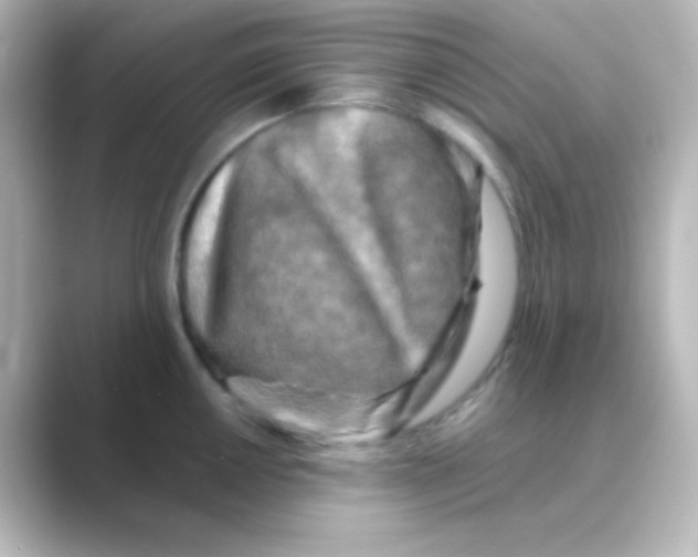 X0000088691050200706211923