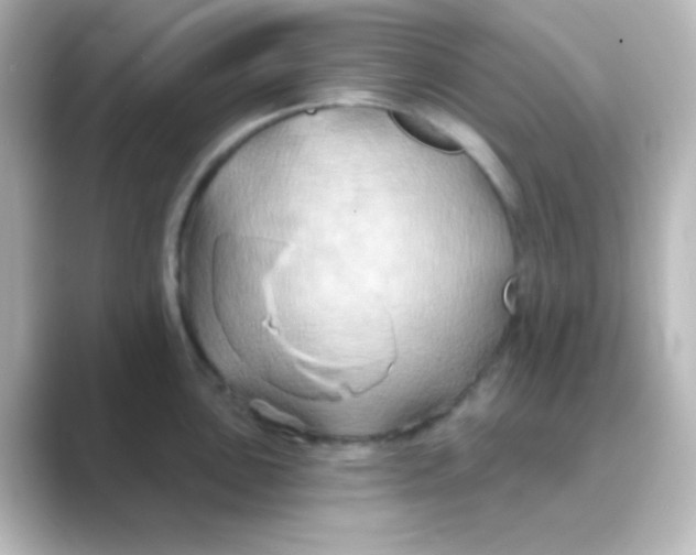 X0000088691051200706211923