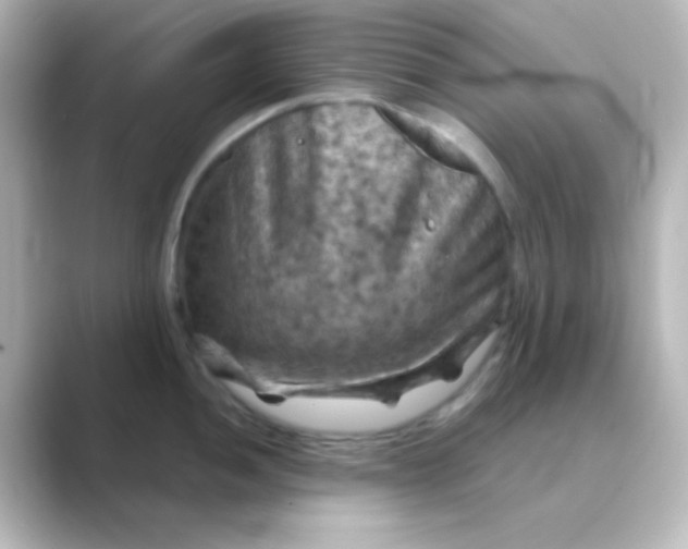 X0000088691052200706211923