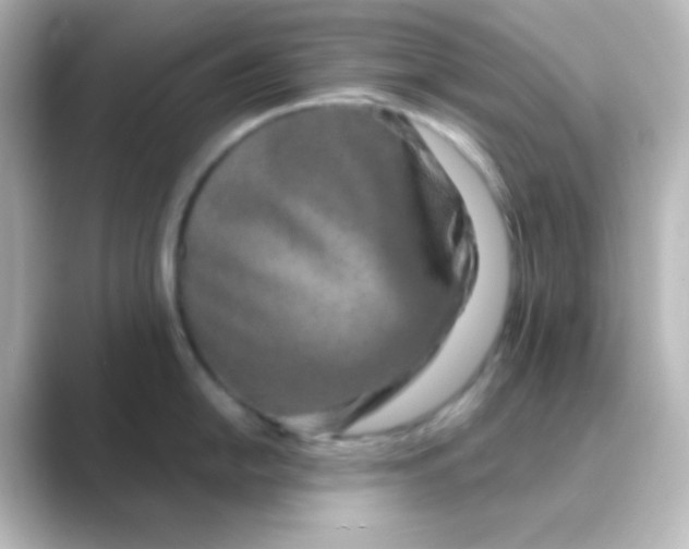 X0000088691054200706211923