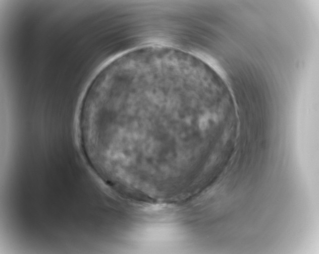 X0000088691056200706211923