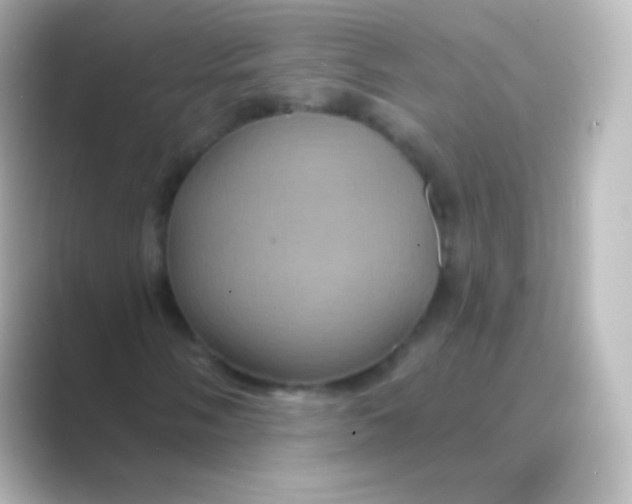 X0000088691058200706211923