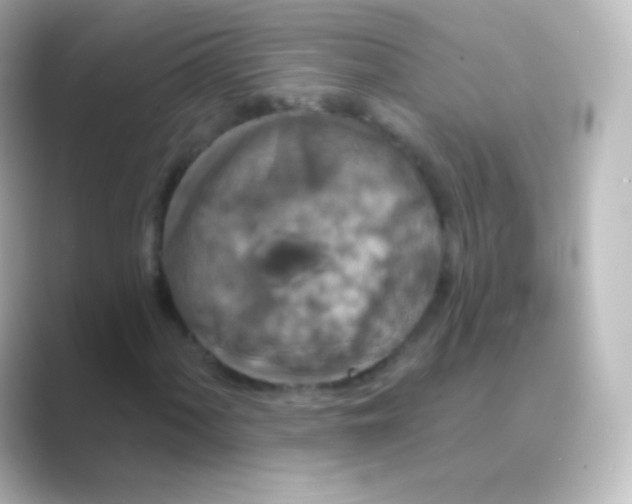 X0000088691060200706211923