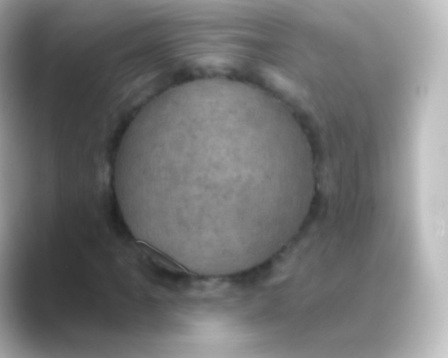 X0000088691061200706211923