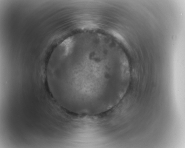 X0000088691063200706211923