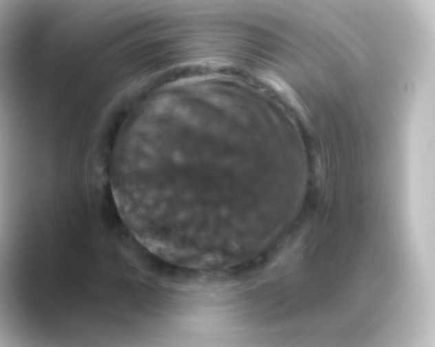 X0000088691064200706211923