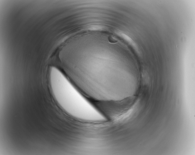 X0000088691065200706211923