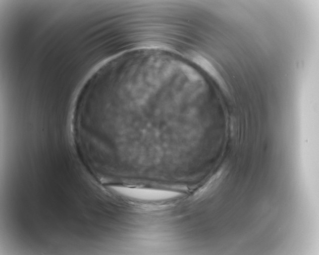 X0000088691068200706211923