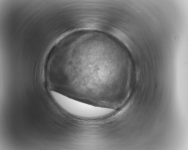 X0000088691069200706211923