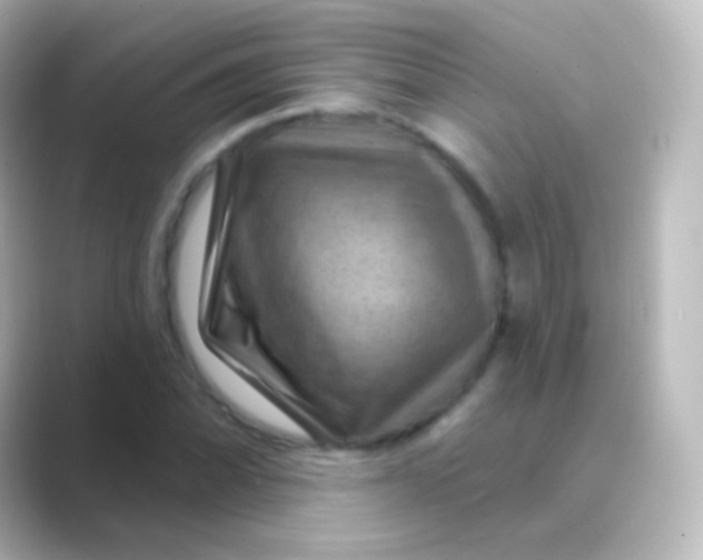 X0000088691070200706211923