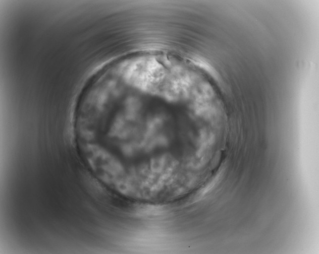 X0000088691071200706211922