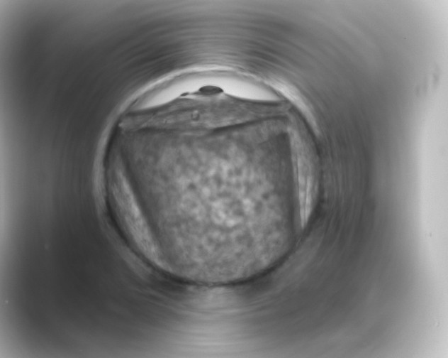 X0000088691072200706211922