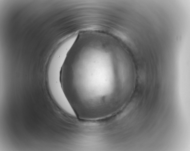X0000088691073200706211922