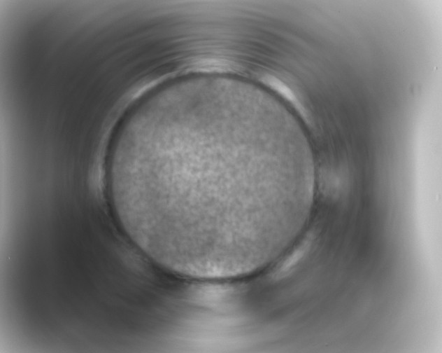 X0000088691074200706211922