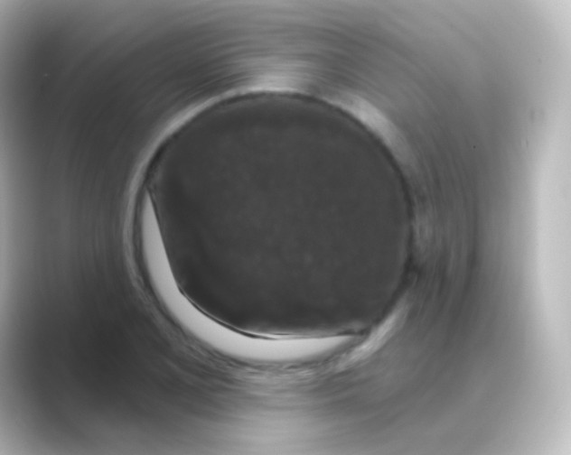 X0000088691077200706211922