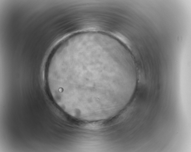 X0000088691078200706211922
