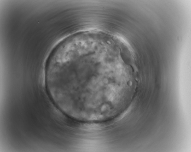 X0000088691079200706211922