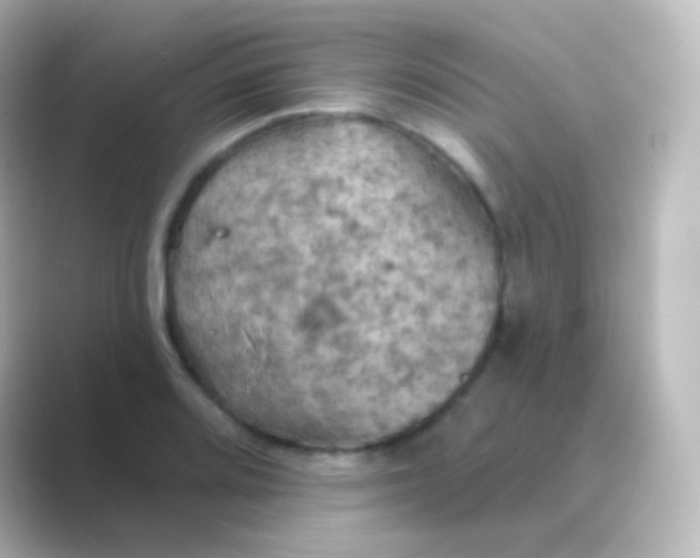 X0000088691080200706211922