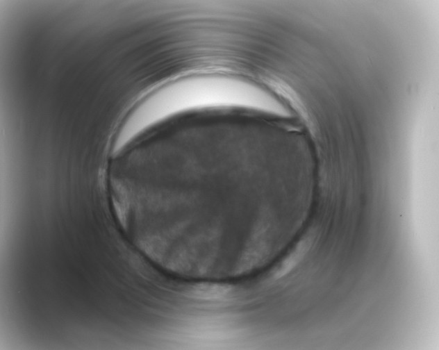 X0000088691081200706211922