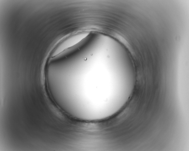 X0000088691082200706211922