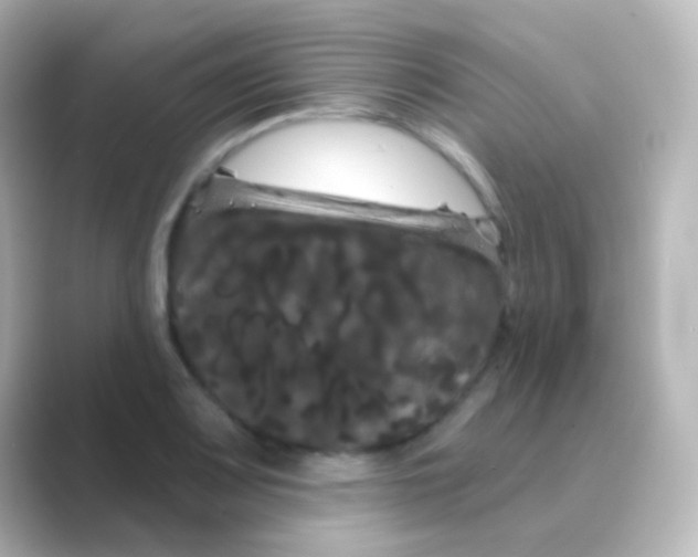 X0000088691083200706211922