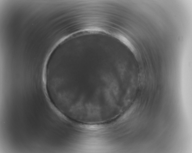 X0000088691084200706211922