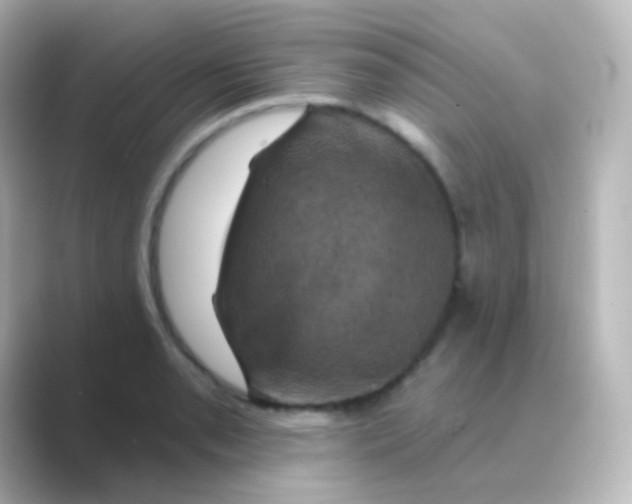 X0000088691085200706211922