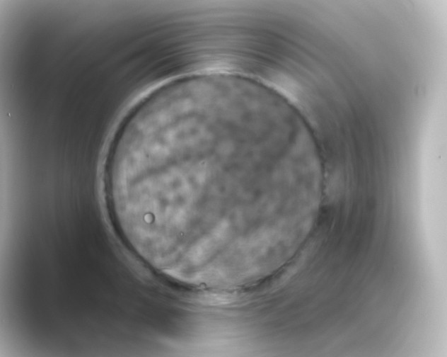X0000088691086200706211922