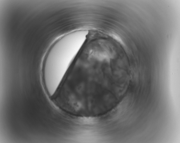 X0000088691087200706211922
