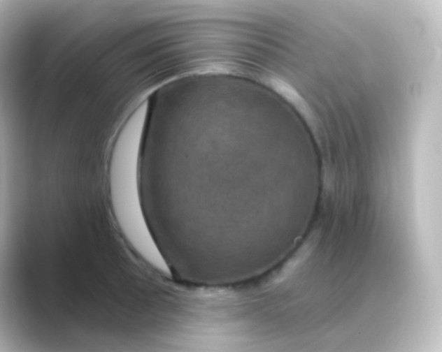 X0000088691089200706211922
