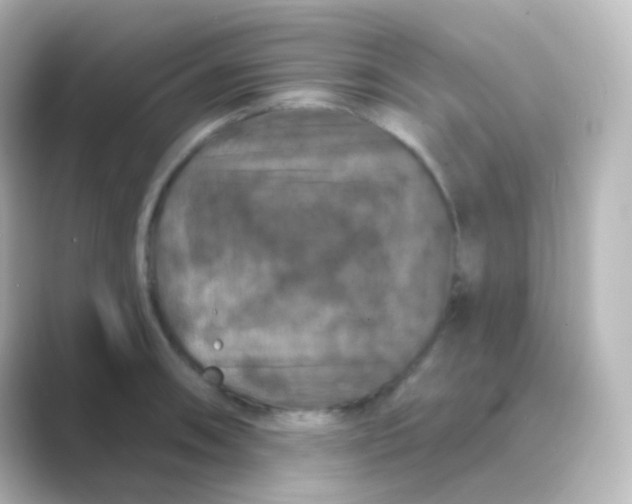 X0000088691090200706211922