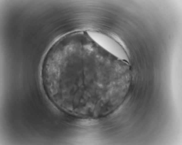 X0000088691091200706211922
