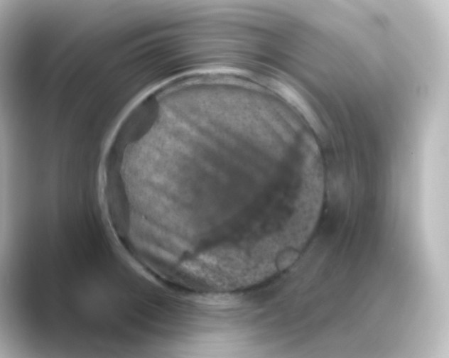 X0000088691092200706211922