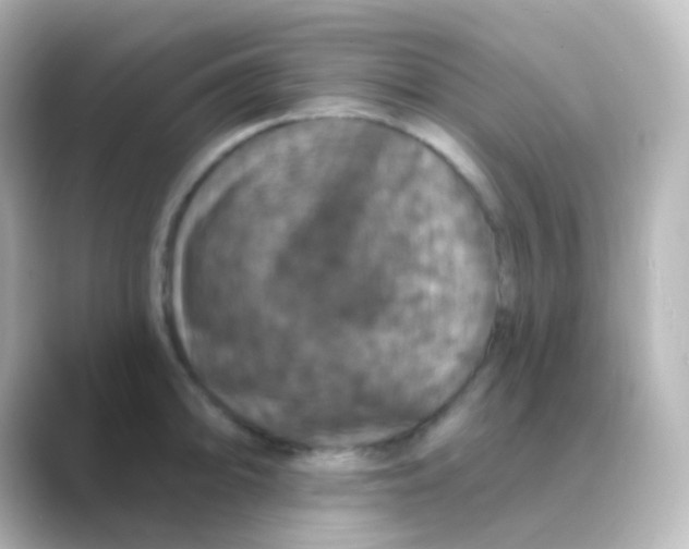 X0000088691094200706211922