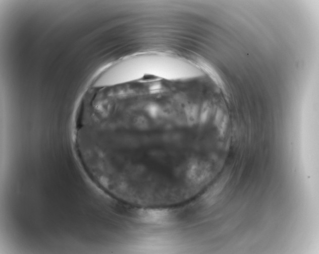 X0000088691095200706211922