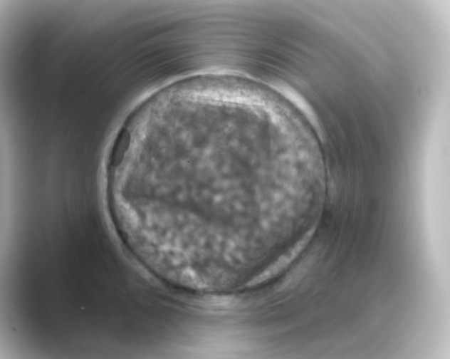 X0000088691096200706211922