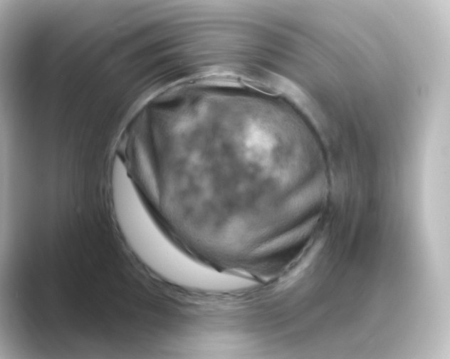 X0000088691097200706211922
