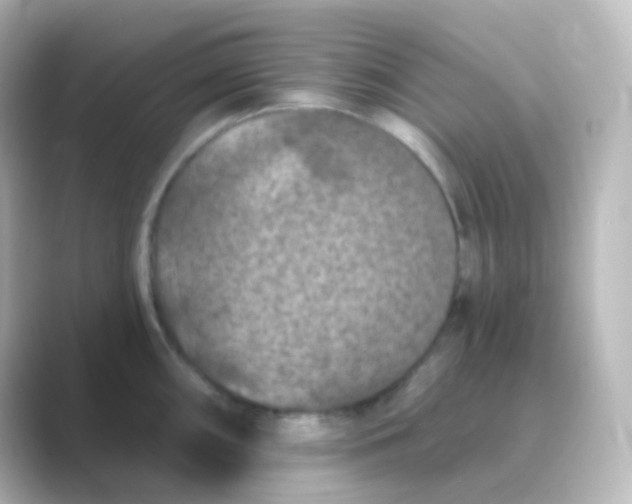X0000088691098200706211922