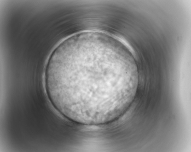 X0000088691100200706211922