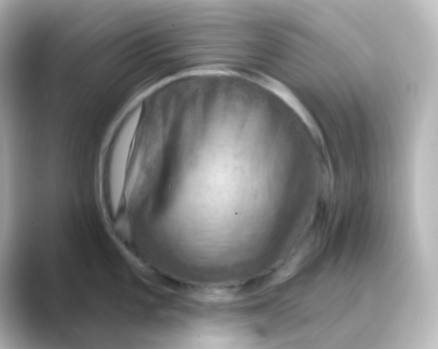 X0000088691101200706211922