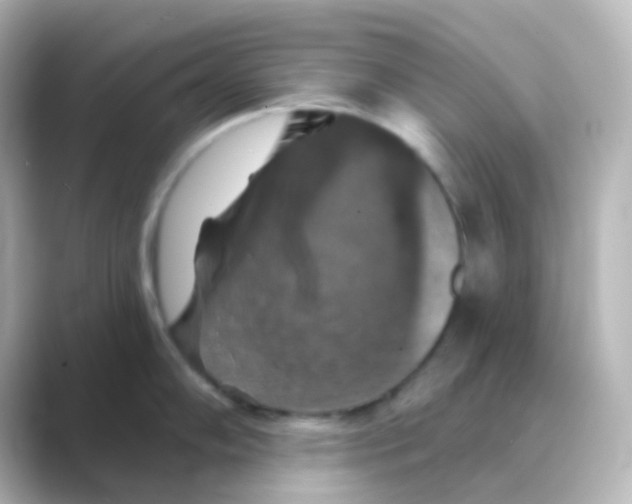 X0000088691102200706211922