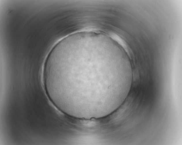 X0000088691103200706211922